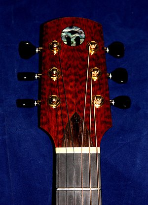 Head Plates. snakewood headstock