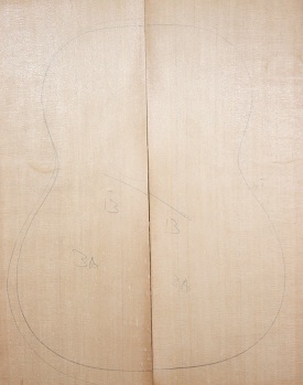 Soundboards. sitka top