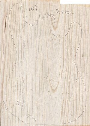 Swamp Ash body blanks Jointed, Glued & sanded . swamp ash 101