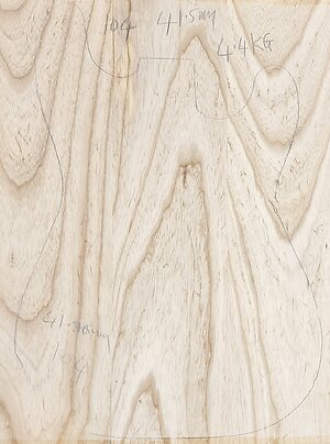 Swamp Ash body blanks Jointed, Glued & sanded . swamp ash 105