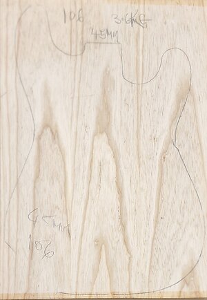 Swamp Ash body blanks Jointed, Glued & sanded . swamp ash 106