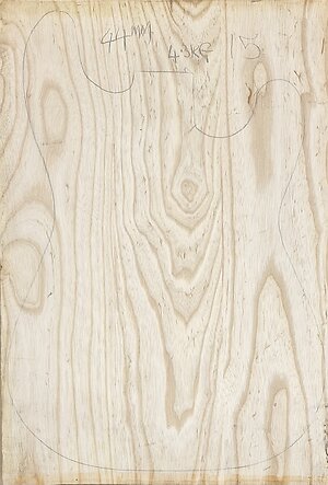 Swamp Ash body blanks Jointed, Glued & sanded . swamp ash 15