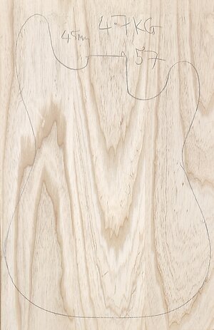 Swamp Ash body blanks Jointed, Glued & sanded . swamp ash 57